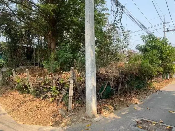 ขายที่ดินลำพูน 207 ตร.ว. ติดถนน ใกล้เมือง เหมาะปลูกบ้าน