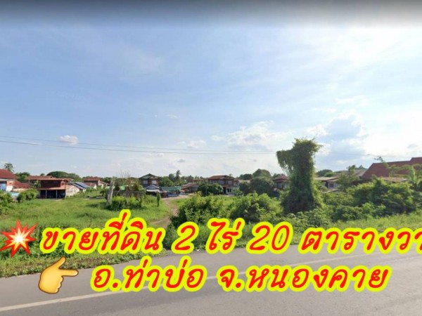 ขายด่วน! ที่ดินแปลงสวยๆติดแม่น้ำโขงที่ดินโฉนด2ไร่ 20ตารางวาบ้านท่ามะเฟือง อ.ท่าบ่อจ.หนองคาย #ที่ดิน