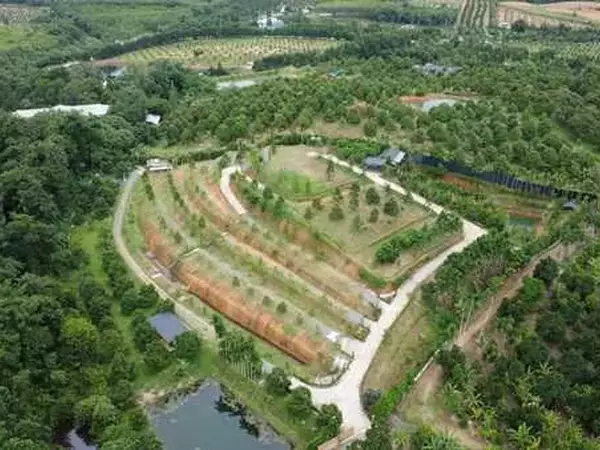 สวนทุเรียนขั้นบันได บ้านตากอากาศบนเขา พร้อมโฉนด! วิวหลักล้าน 11ไร่ อ.มะขาม จันทบุรี โทร 0830132000