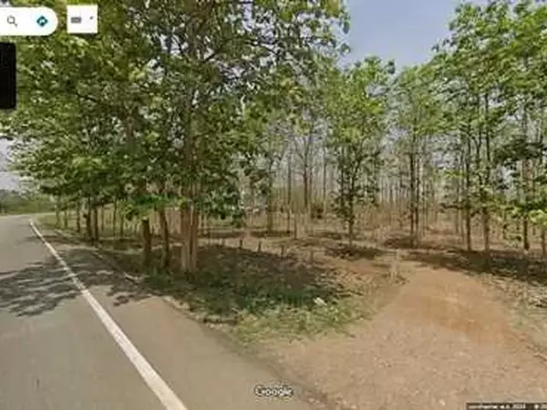 ด่วน! โอกาสทองสำหรับนักลงทุน ที่ดิน 29 ไร่ พร้อมสวนสักอายุ 12 ปี ใกล้เมืองลำพูน โทร 081-530-7997
