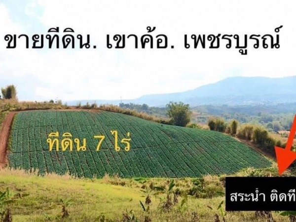 ขายที่ดิน เขาค้อ เพชรบูรณ์ ? ราคา ขายยกแปลง 7 ไร่ 3,500,000